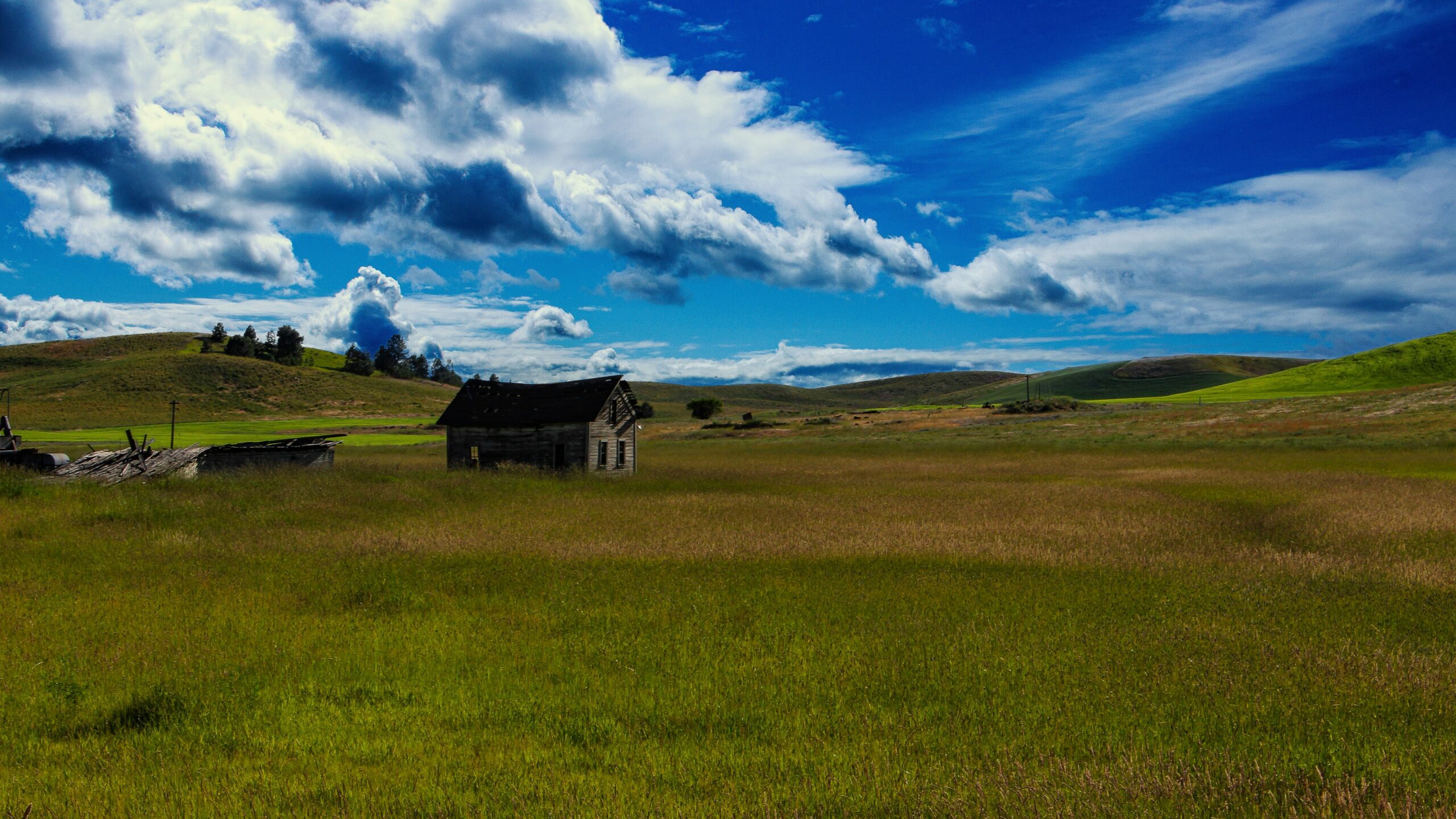 brown wooden house on green grass field under blue and white cloudy sky during daytime